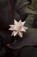 /album/papel-alto-del-viento/imagen-4-jpg/